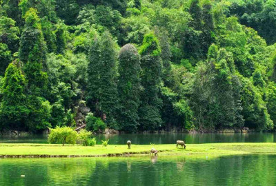 Ba Be National Park 3 days 2 nights